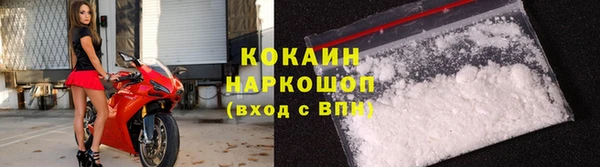 сатива Богородск