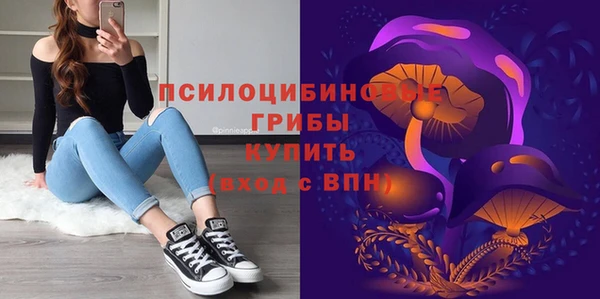 сатива Богородск