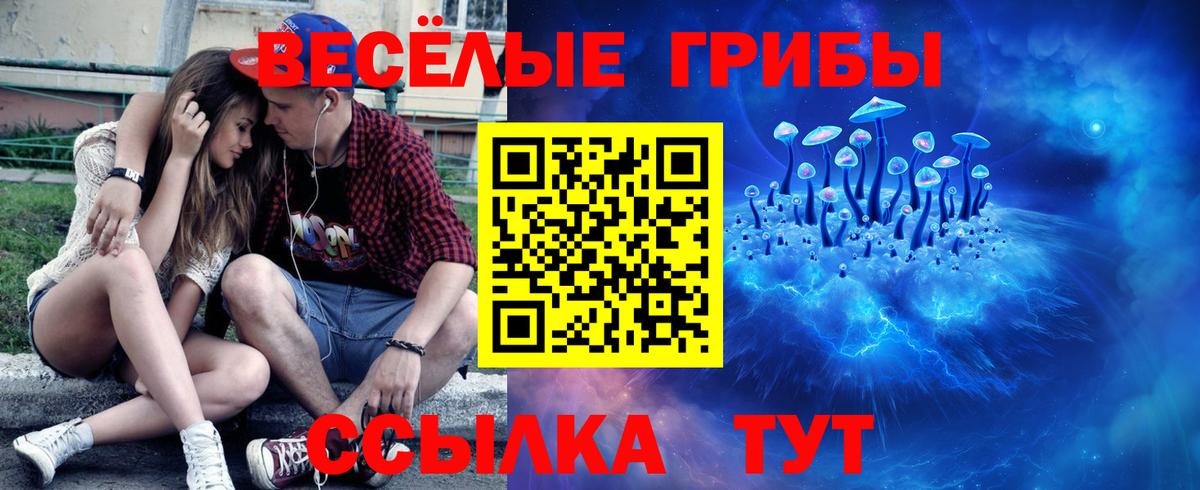 Галлюциногенные грибы ЛСД  Вход с VPN  Кубинка  что такое наркотик  Псилоцибиновые грибы GOLDEN TEACHER 